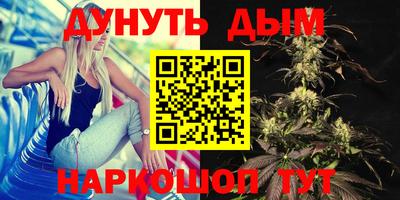 гашик Брянск